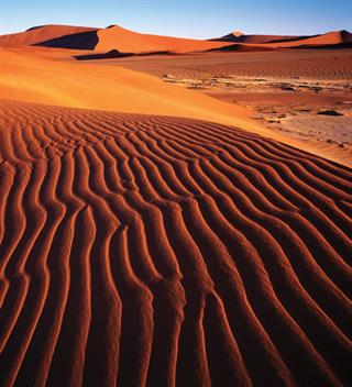 Bulan Madu Menyaksikan Matahari Terbit di Sossysvlei, Namibia