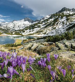 Destinasi Bulan Madu Penuh Ketenangan di Kota Bansko, Bulgaria