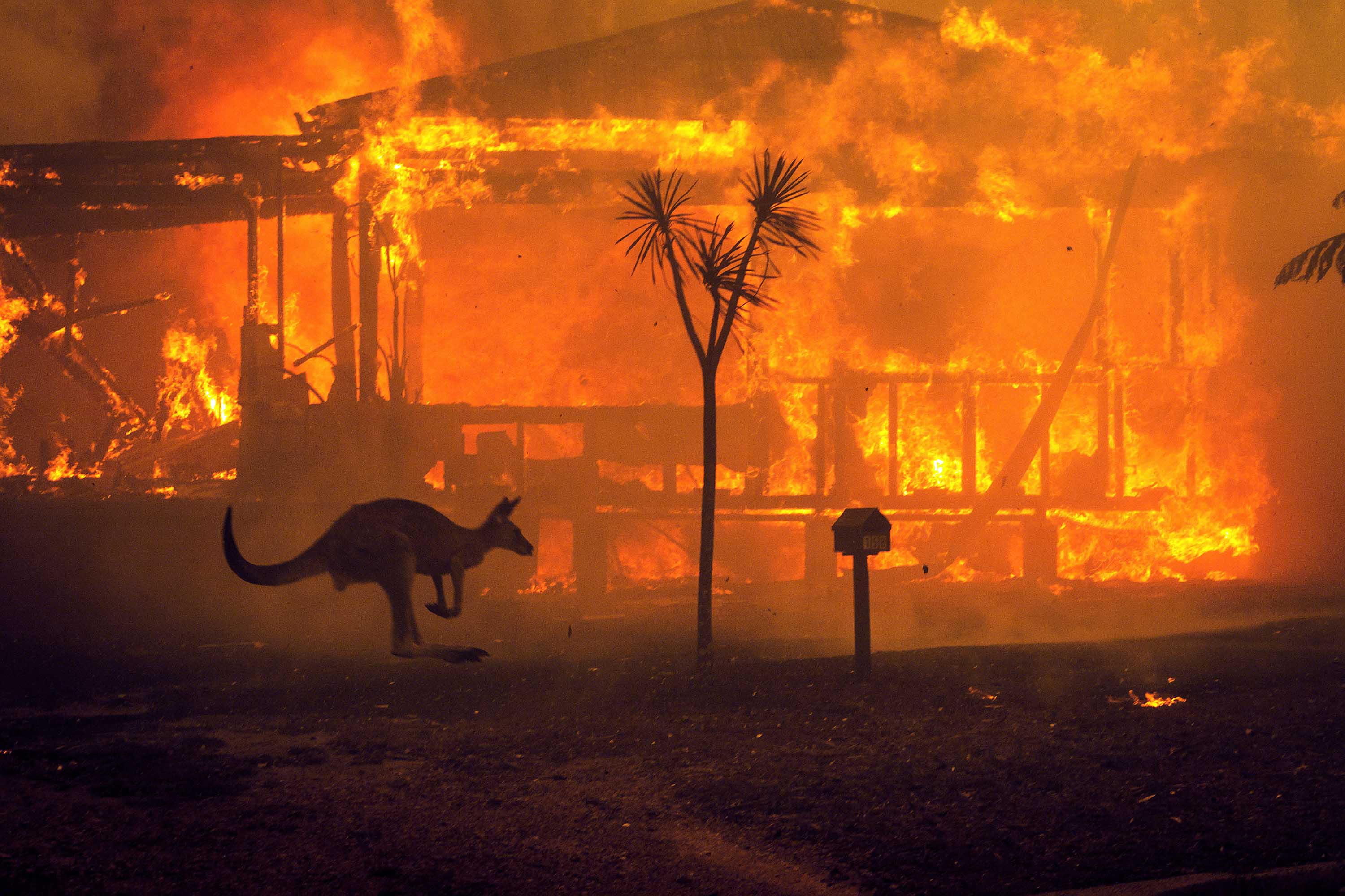 Kebakaran Australia Jadi yang Terparah Sepanjang Sejarah