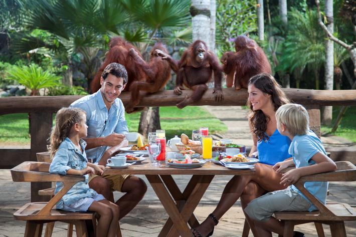 Pengalaman Unik Sarapan Bulan Madu di Bali Zoo