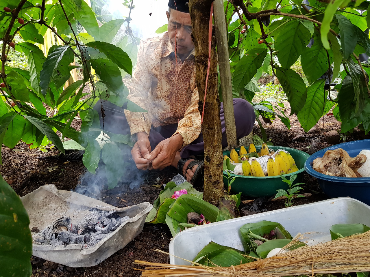 Keseimbangan Budaya dan Modernitas di Kawisari Coffee Plantation