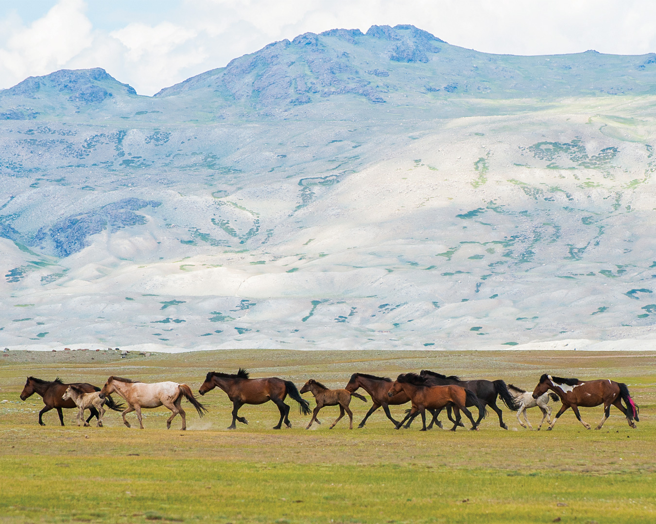 Auguste Soesastro Menelusuri Ruang-Ruang Pengembara di Mongolia