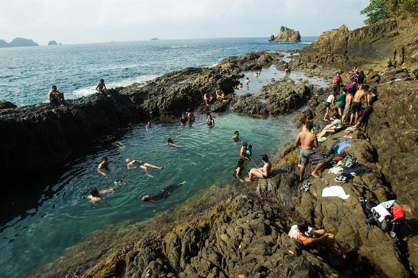 Hasil gambar untuk Lumba-Lumba kiluan