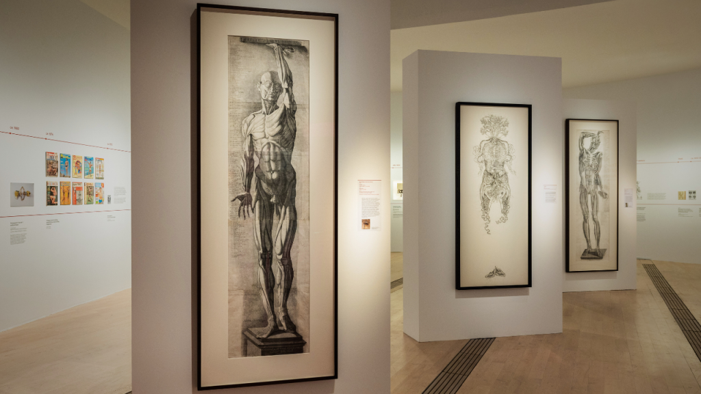 Majalah DEWI – ArtScience Museum Hadirkan Pameran Flesh and Bones (1)