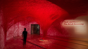 ArtScience Museum Hadirkan “Flesh and Bones”, Menelusuri Tubuh Manusia dari Berbagai Perspektif