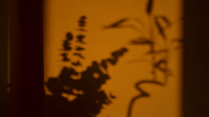 Saat Kita Mengucap Maaf, Apa yang Sebenarnya Kita Lepaskan?