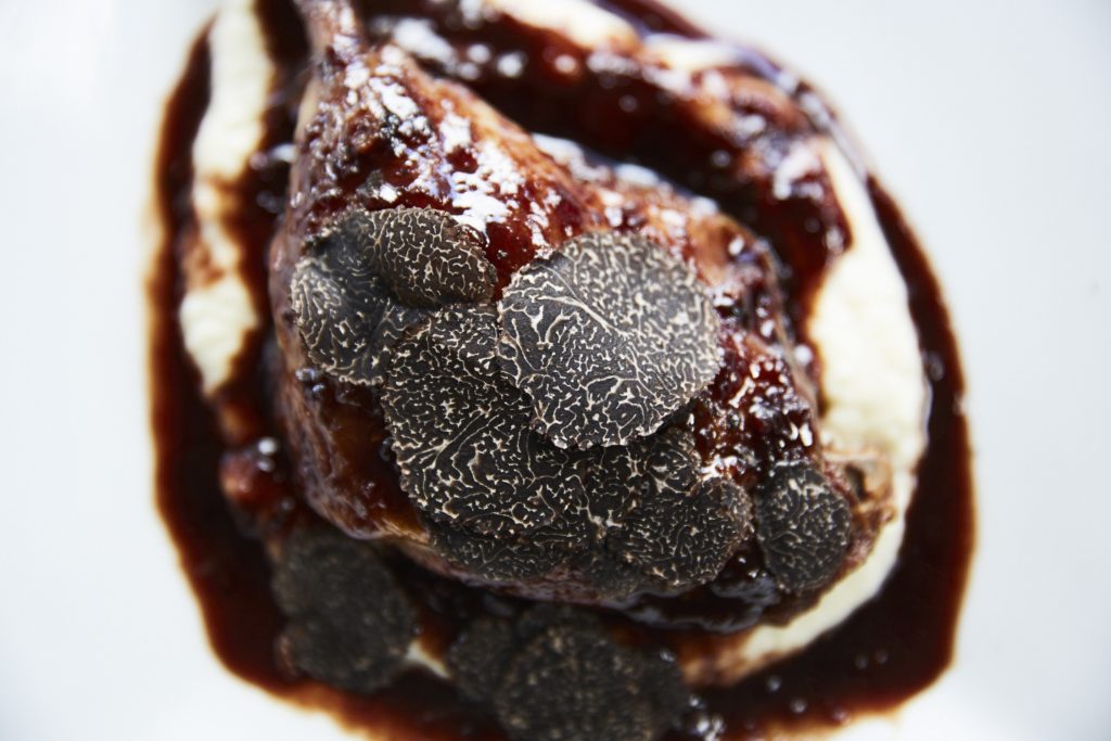 Manjimup truffles, The Truffle & Wine Co.