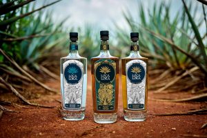 Loca Loka Tequila, Menuangkan yang Terbaik dari Dua Dunia